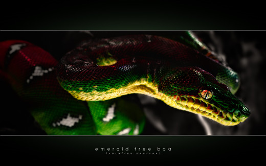 769840 (a): :2560x1600